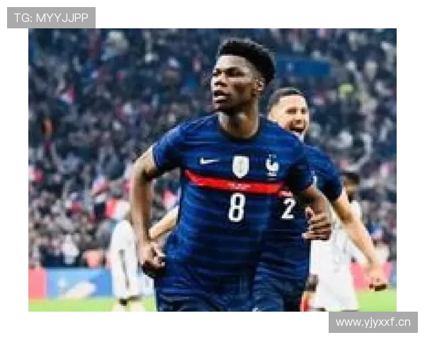 琼阿梅尼是否被高价捧高：身价与实战价值差距在哪