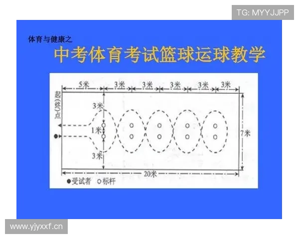 新手必看！篮球运球规则入门详解